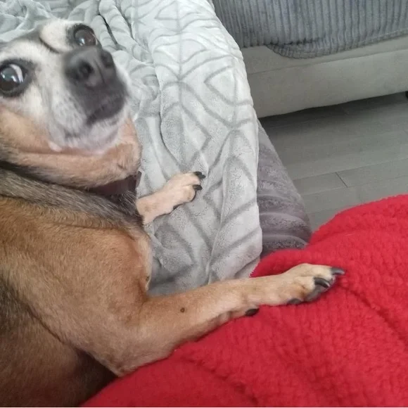 Live Listing, Like Me And Share, You’ll Be Notified When I Go Live, Stay Blessed - Picture 4 of 11